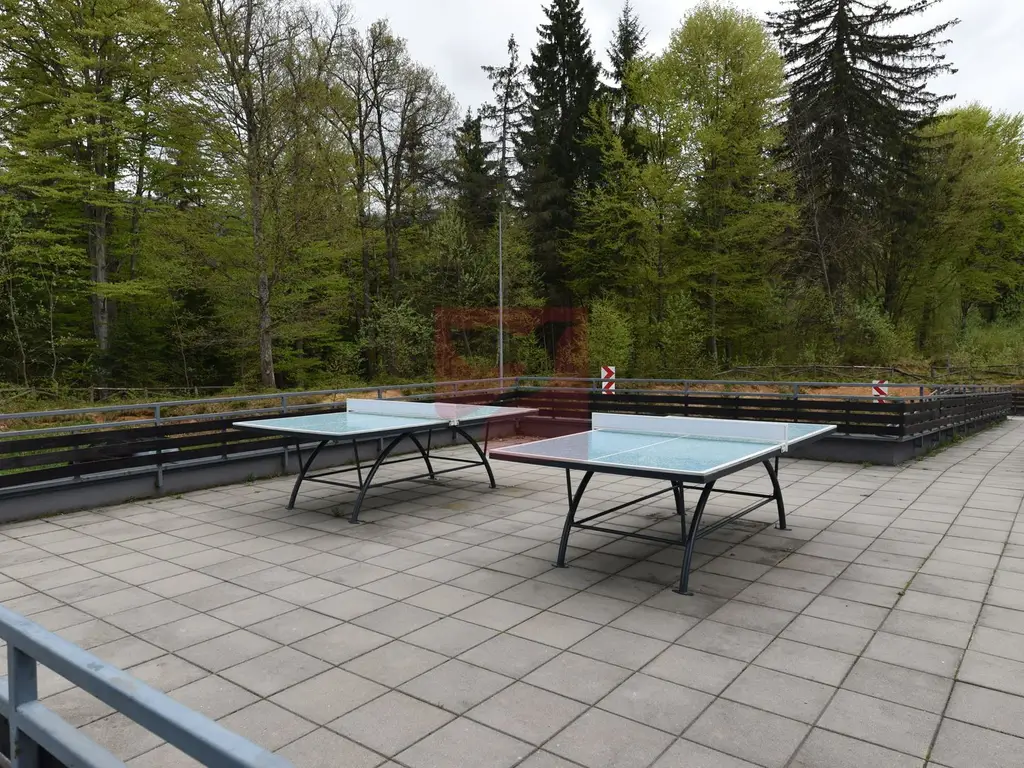 2 camere, intim, semineu, Silver Mountain