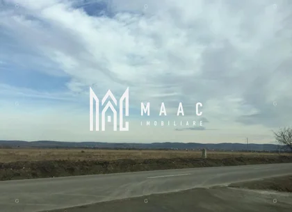 Teren 10.000 mp I Dezvoltare rezidențială I Calea Șurii Mici