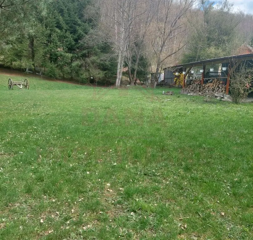 CASĂ DE VACANȚĂ 5 CAMERE,POINANA MĂRULUI, JUD.CARAȘ-SEVERIN
