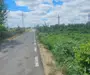 Loturi teren 590 mp - Vanatori, jud Galati, 43 mp negociabil