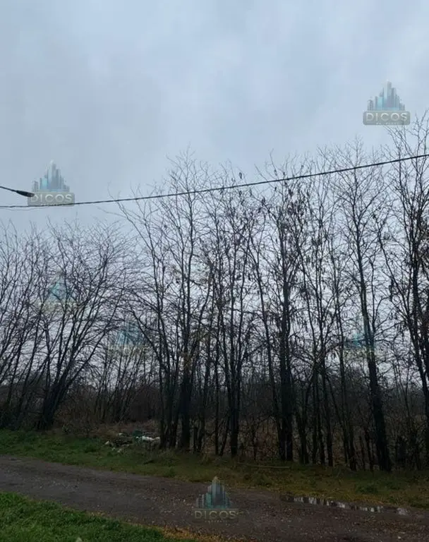 Teren intravilan Drumul Fermei