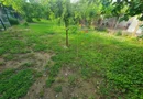 Casa in Elisabetin spre Complex. Teren 821 mp