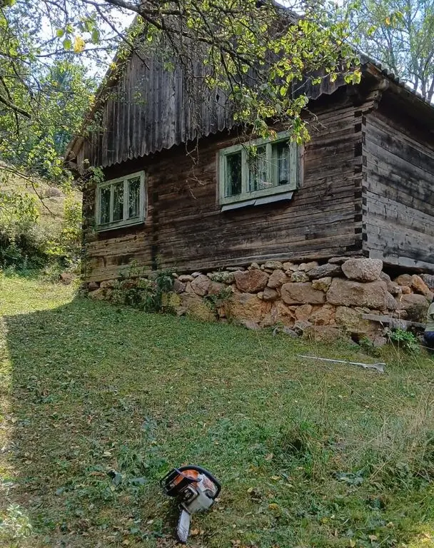 De vânzare casă cu teren Albac 5000m²