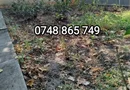 OPORTUNITATE ! Casa 3 C 100 m + teren 350 m , P de Piatra_Palas Campus
