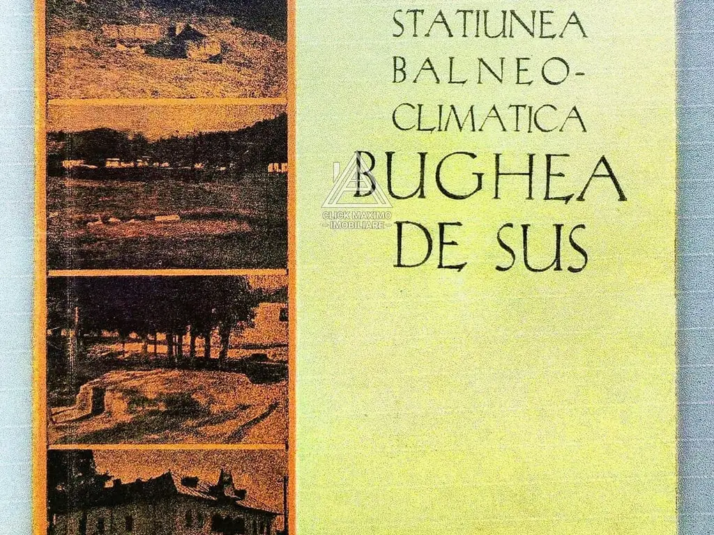 Teren 8 ha cu 15 izvoare minerale, lângă Câmpulung Argeș