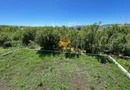 Casă individuală, 4 camere, 470 mp teren, Cluj