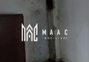Teren de vanzare I izvor apă minerală  Dangești I 2 Hectare