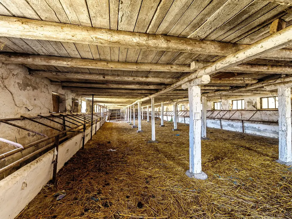 Fermă Mândruloc 2,5 ha