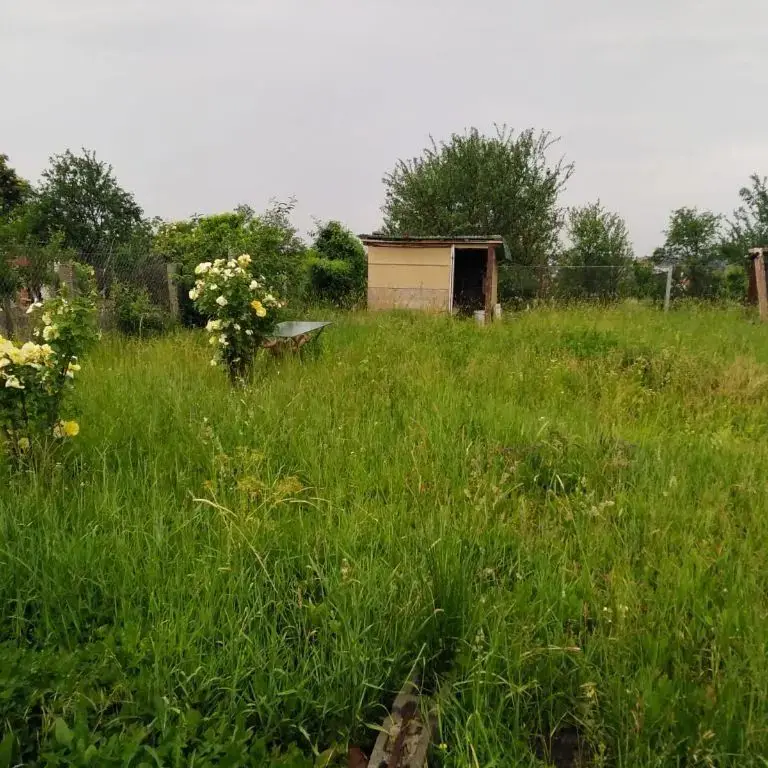 Ag EUROPA vinde teren intravilan cu toate utilitățile în Ardud.