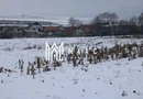 Fermă agricola funcțională de vanzare I Vurpar