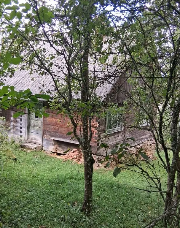 De vânzare casă cu teren Albac 5000m²