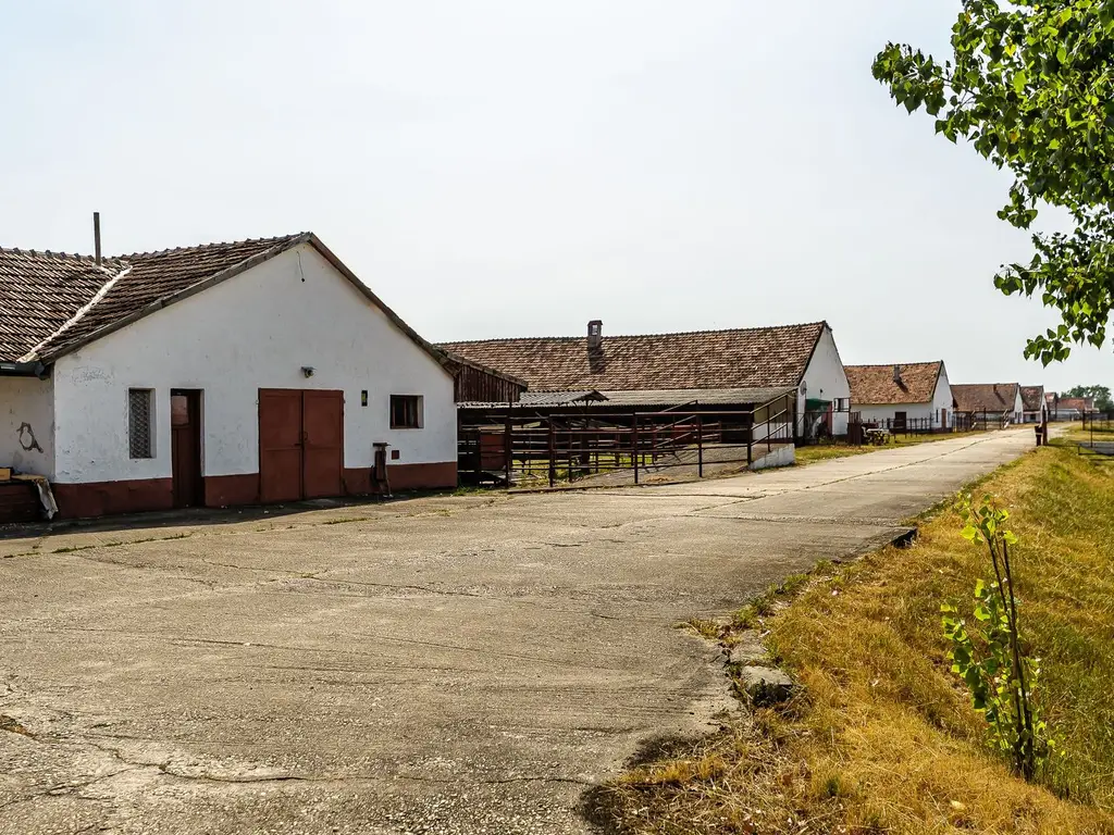 Fermă Mândruloc 2,5 ha