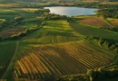 FERMĂ AGRICOLĂ PREMIUM 300 HA – INVESTIȚIE STRATEGICĂ ÎN TRANSILVANIA