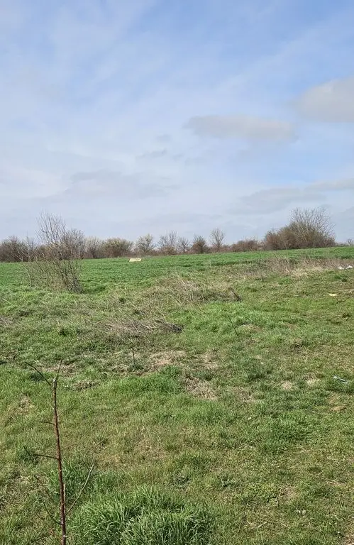 Afumati Balta Batal teren de vanzare 7000 mp