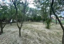 Vindem casă tradițională in sat Sabolciu,central, 4500 mp- 76.000 euro