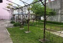 Sos Chitilei teren+casa 500 mp