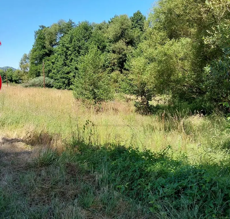 TEREN INTRAVILAN ÎN MARGA-LA DN68 JUD.CARAȘ-SEVERIN