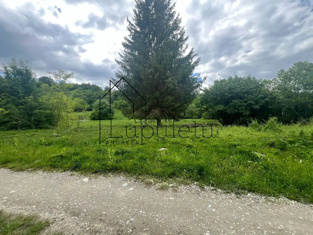 Teren Intravilan – 2.700 mp | Valea Avrigului | Zonă turistică deoseb