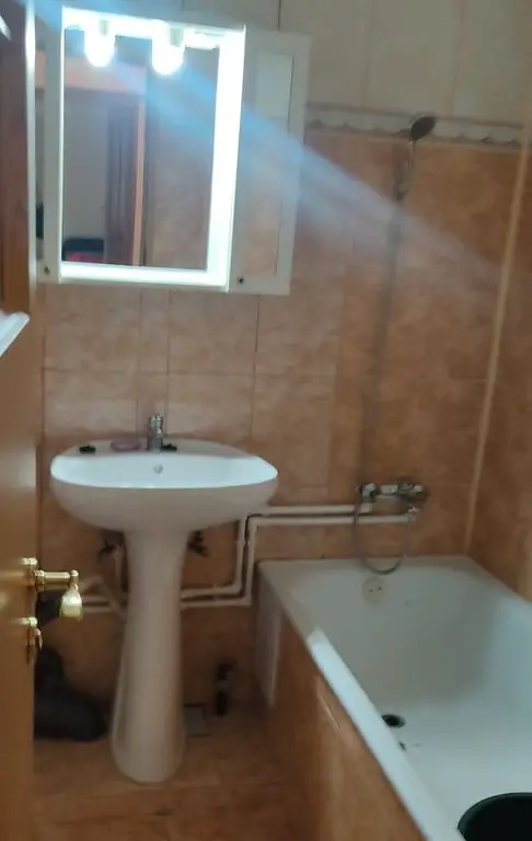 De inchiriat apartament spatios in Piata Centrala, 320 euro