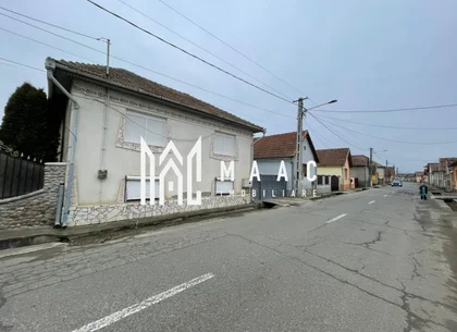 Casă I Teren de 4.500 mp I Anexe I Seica Mare