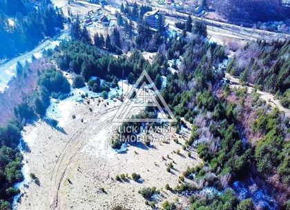 Teren 8 ha cu 15 izvoare minerale, lângă Câmpulung Argeș