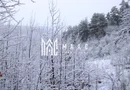 Teren de vanzare I izvor apă minerală  Dangești I 2 Hectare