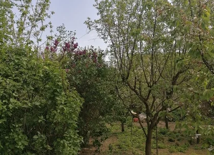Ag EUROPA vinde casa 6 cam teren 11 ari în zona 14 Mai.