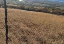 Teren de vânzare Pâclișa