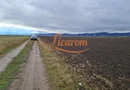 Teren extravilan 2,9 HA,intre Cristian si Vulcan
