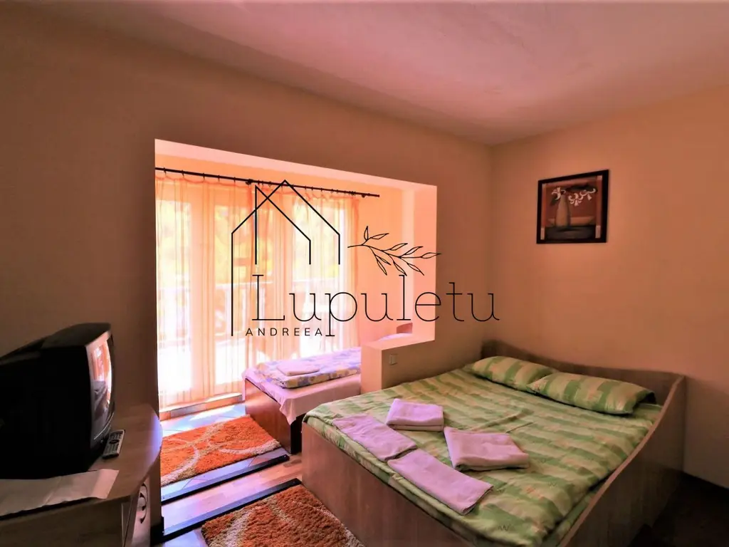 Pensiune de vânzare | 400 MPU | 10 Camere | Rasinari - Curmatura