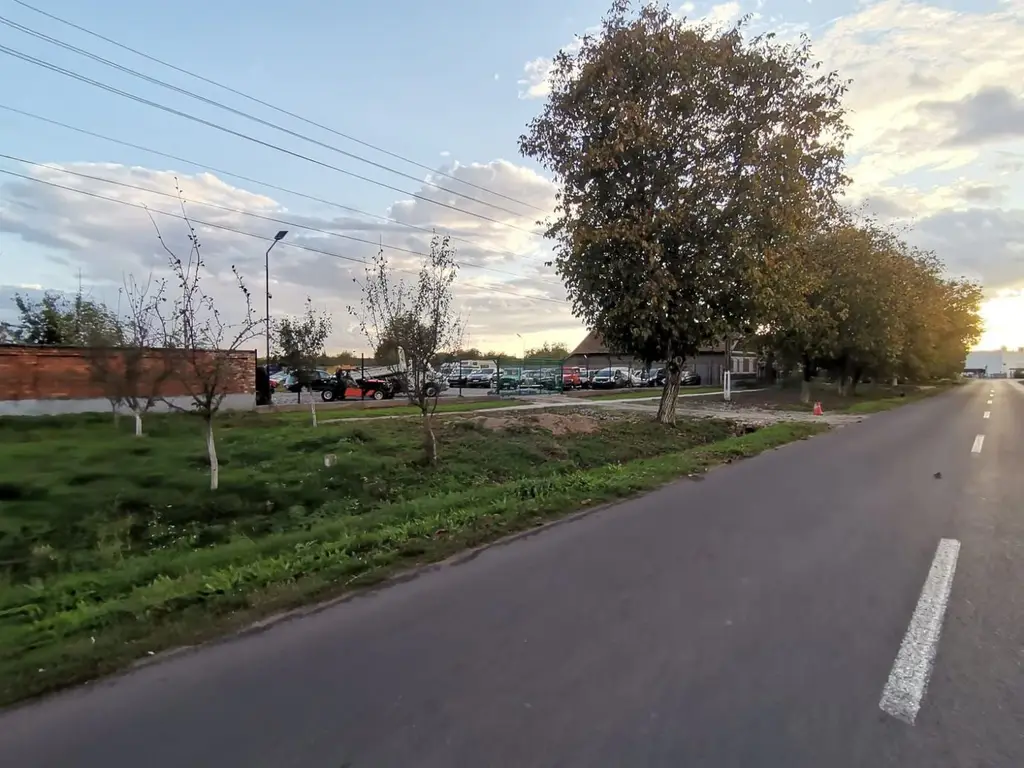 Teren de închiriat 3.000 mp | Nădab – zonă industrială, DN79