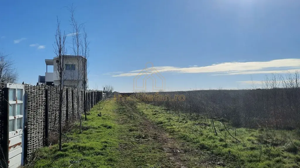 Teren Intravilan Vama Veche | 7.495 mp | Oportunitate Investiție