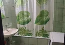 BRASADAS închiriază ap 2 camere- petre ispirescu
