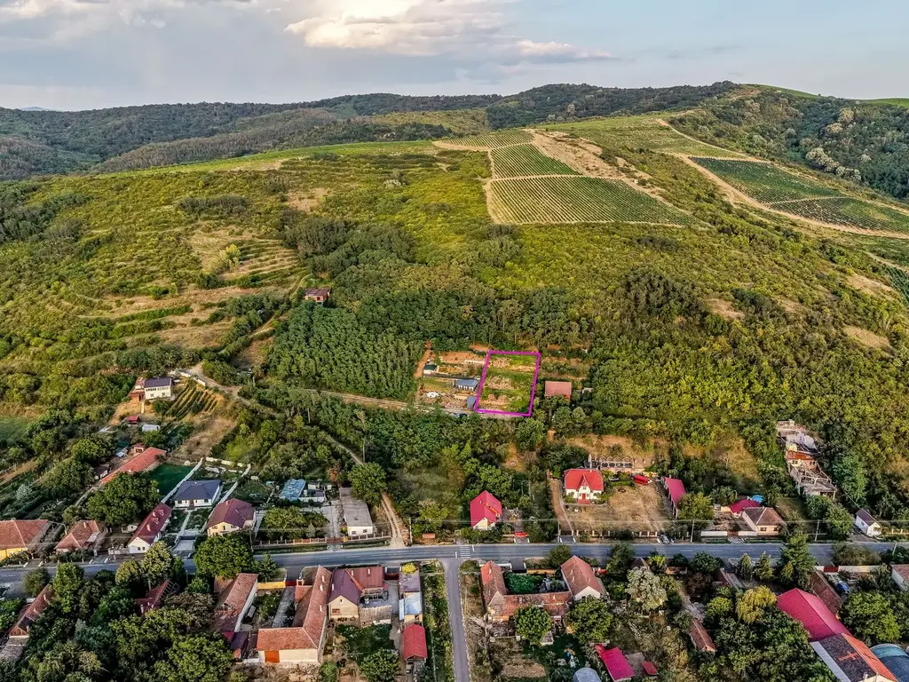 Teren pe deal, 1.150 mp, în Miniș, front 26 m, Drumul Vinului
