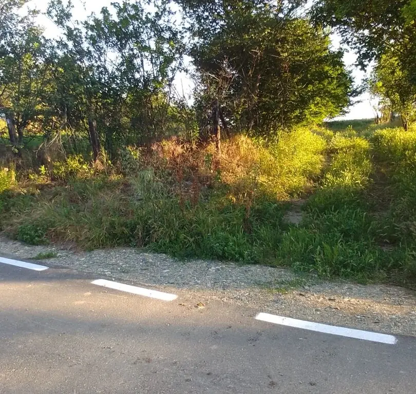 Teren intravilan 2.500 mp – Vieru, Giurgiu
