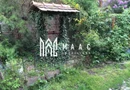 Casă individuală I Rustic I 100 mpu I Curte 2000 mp I Nemșa
