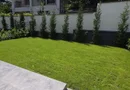 Giulesti duplex P+1 4 camere de vanzare