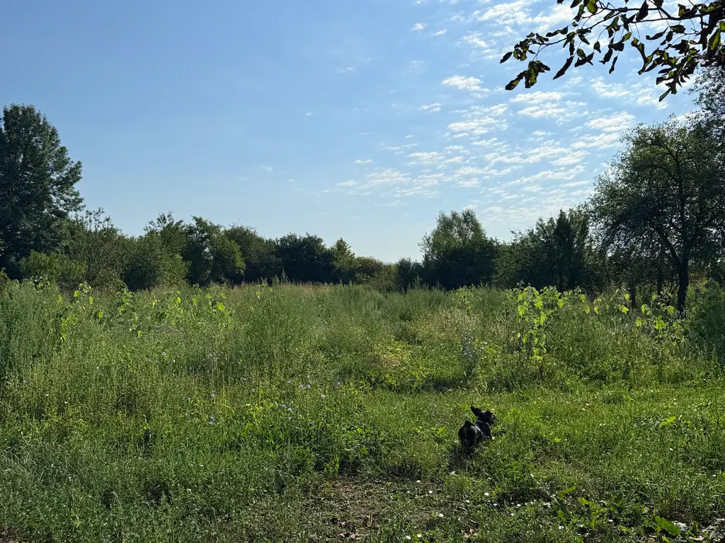 Casă de vânzare la țară (Bulci, jud. Arad)