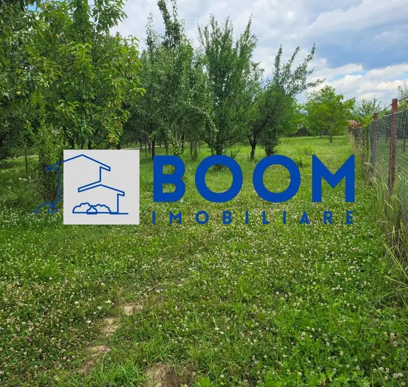Casa Calimanesti | Teren 1700 mp | Centrala proprie