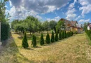 BRASADAS vinde casă tip D P M cu teren 17 ari in Bercu Roșu.
