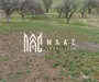 Teren 1400 mp | Valea Mărului | Parcelabil | Cabane / Retreat în natură