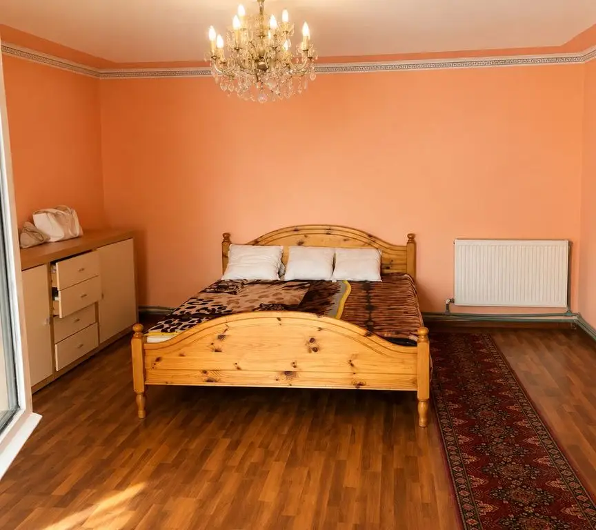 DUPLEX SANMIHAIU ROM