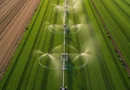 Platforma agro-industriala integrata–aproape 2.000 ha teren cultivabil