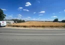 Teren intravilan in Podgoria pt parcelare șau construcții rezidențiale