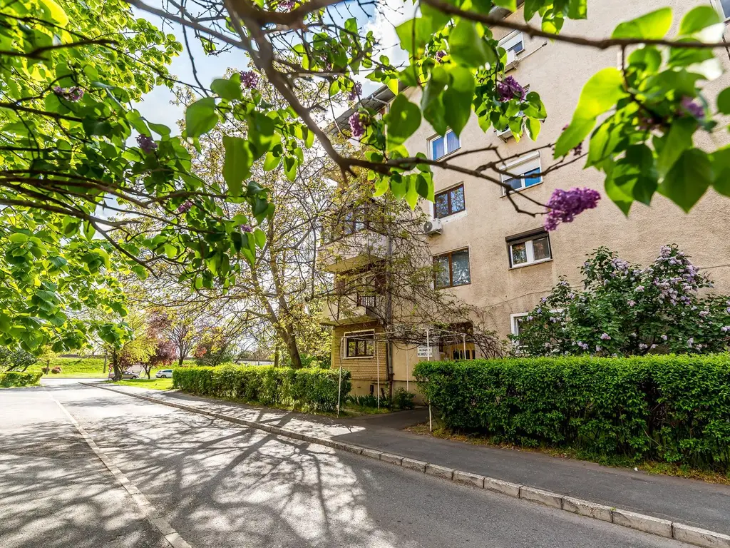Apartament 3 camere Micalaca 300. Vedere superbă spre Mureș
