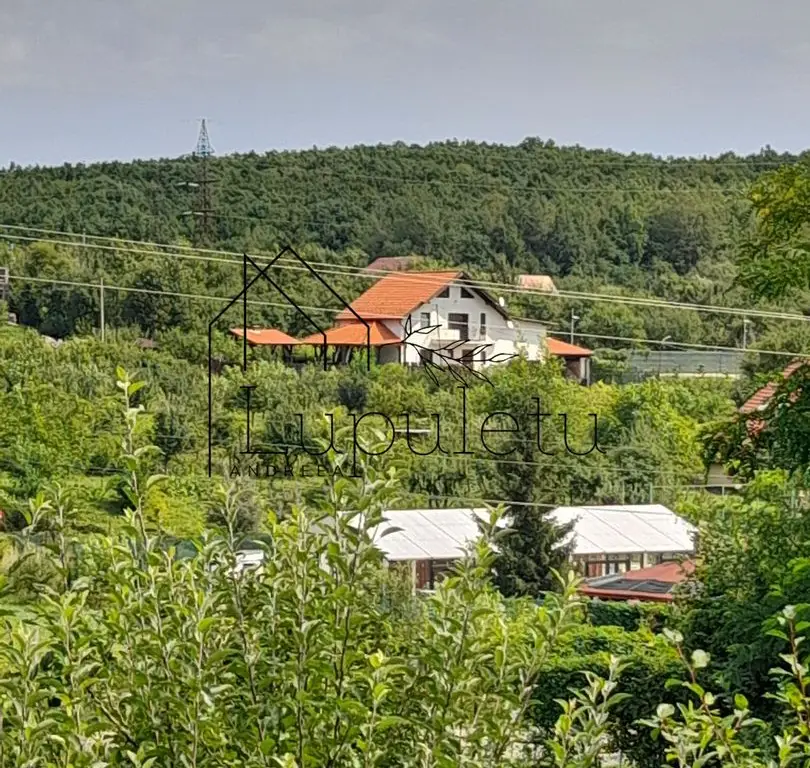 Teren Intravilan | 1500 MPU | Tocile, Comuna Sadu