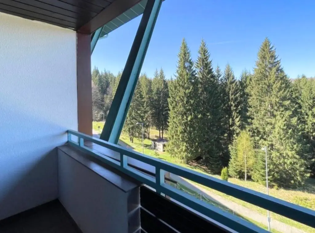 Apartament exclusivist de 2 camere 81 mp complex Silver Mountain Poiana Brasov