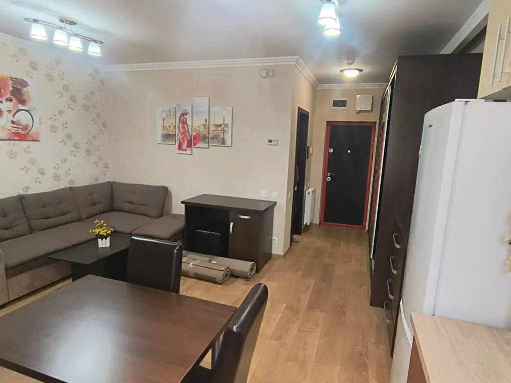 Apartament ARED cu 1 camera, St. O. Iosif, Oradea, 300 euro/luna