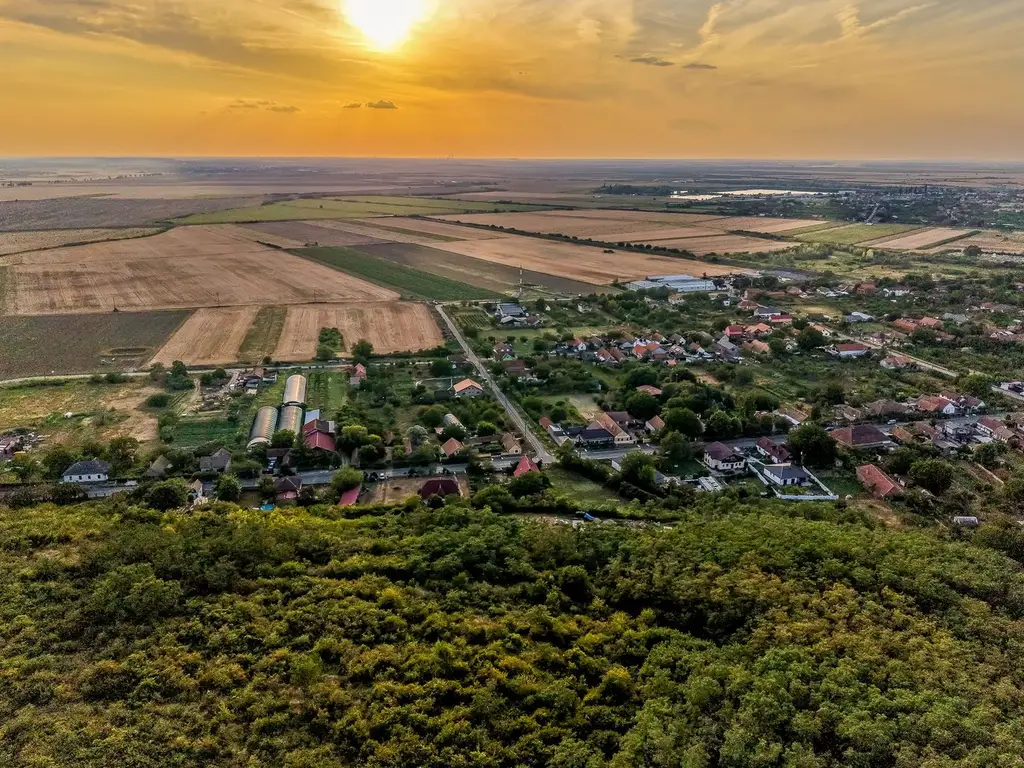 Teren pe deal, 1.150 mp, în Miniș, front 26 m, Drumul Vinului