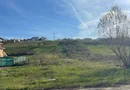 Teren intravilan, 1 050 mp,zona Gh Doja. 79.000 Euro neg. Comision 0